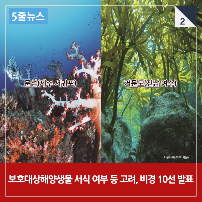 [5줄뉴스] 