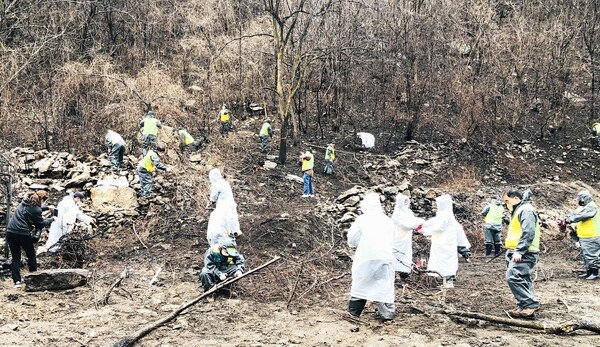 대전광역시자원봉사센터(이사장 김창섭, 센터장 구자행)는 대전광역시자원봉사연합회(회장 김영태) 소속 자원봉사자 21명과 함께 31일, 강원도 강릉시 옥계면 남원1리 일대 산불 피해지역의 복구 활동을 지원했다. 사진=대전시자원봉사센터 제공