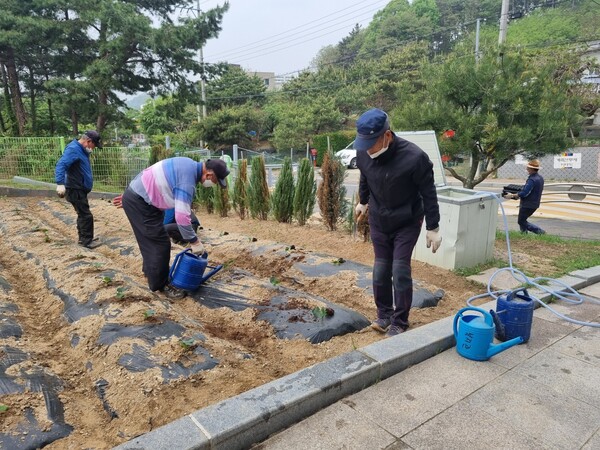 대덕구노인종합복지관 ‘나눔봉사단’ 텃밭가꾸기 활동 진행 장면. 사진=대덕구노인종합복지관 제공