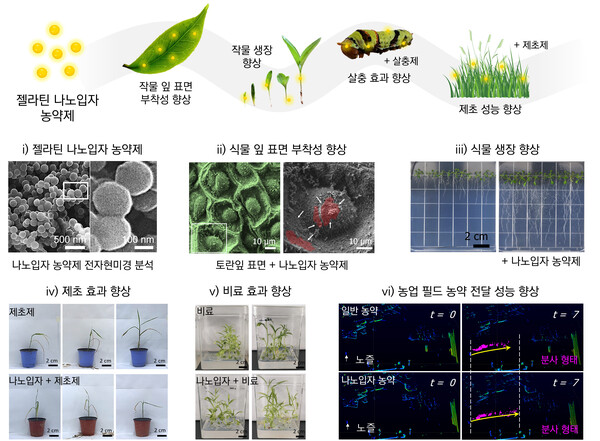 전남대 김장호 교수팀(논문 요약 그림 )사진=전남대 제공