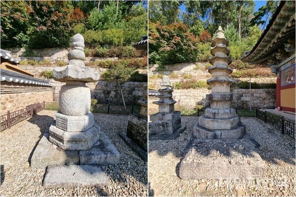 [4인 4색 문화 에세이-18] 이은희 수필가 '마음으로 즐기며 홀로 서서는'