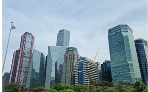 ETF 163종, 실제보다 비싸게 거래…'피해 규모' 파악 중
