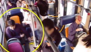 안내견과 <b>버스</b> 탄 <b>시각장애인</b> 도운 기사 미담 화제