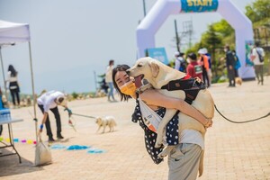강원랜드 <b>하이원리조트</b>, 반려견 행사 '<b>댕댕트레킹</b>'개최