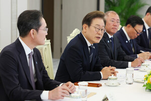 재계 총수들 만난 李대통령 "<b>경제</b> 핵심은 기업…불필요한 <b>규제</b> 정리"