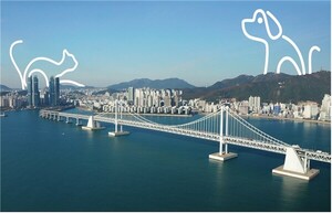 반려동물 캠페인