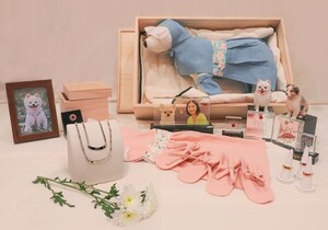 반려인구 1500만 시대...펫상조, 미래 먹거리 부상 - 뉴스 썸네일 이미지