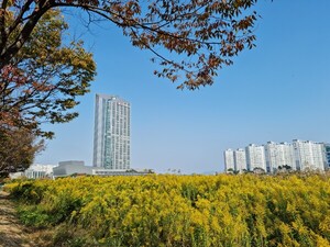 한전, 국내 공기업 유일 12년 연속 '다우존슨 아태 지수' 편입