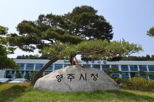 영주시, 인구감소 대응 '도시공간 재구조화' 전략 마련 - 뉴스 썸네일 이미지