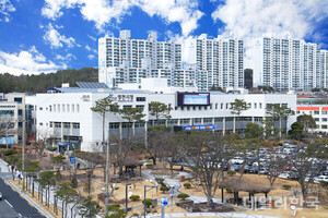 영천시, 전략작물직불금 신청 연장 - 뉴스 썸네일 이미지