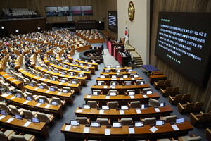 '임신중지약·ECM 스킨부스터' 국감 화두로…도입·안전관리 쟁점