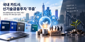 카드업계, 신기술금융 투자 4년째 제자리...수익성 악화에 '몸 사리기' - 뉴스 썸네일 이미지